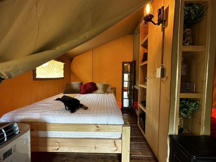 12 Fires Luxury Glamping With Heating #5 Hotel Johnson City Kültér fotó